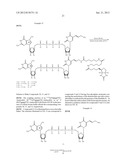 PREPARATION AND ISOLATION OF 5  CAPPED MRNA diagram and image