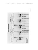 PRODUCTION OF NUCLEIC ACID diagram and image