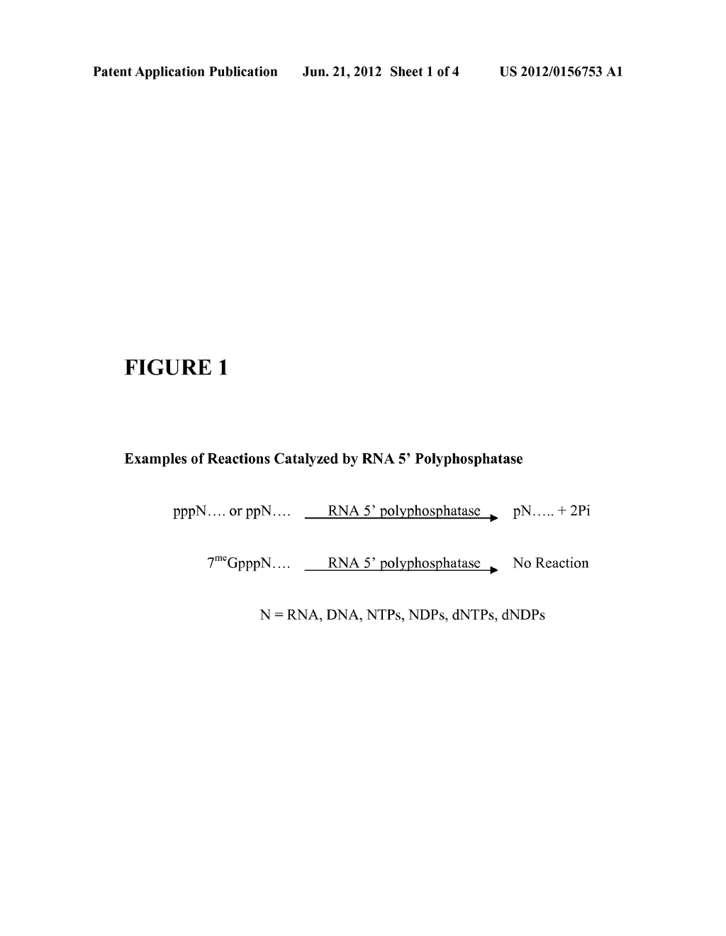 Selective 5' Ligation Tagging of RNA - diagram, schematic, and image 02