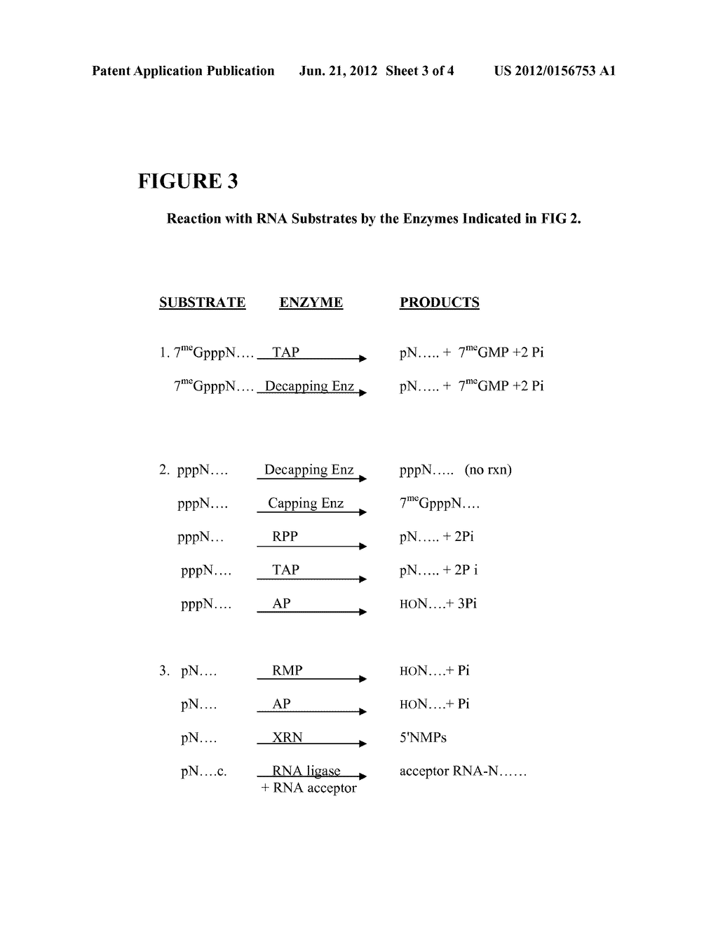 Selective 5' Ligation Tagging of RNA - diagram, schematic, and image 04