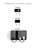 SAMPLE ANALYZING CHIP AND MEASUREMENT SYSTEM USING SAME diagram and image