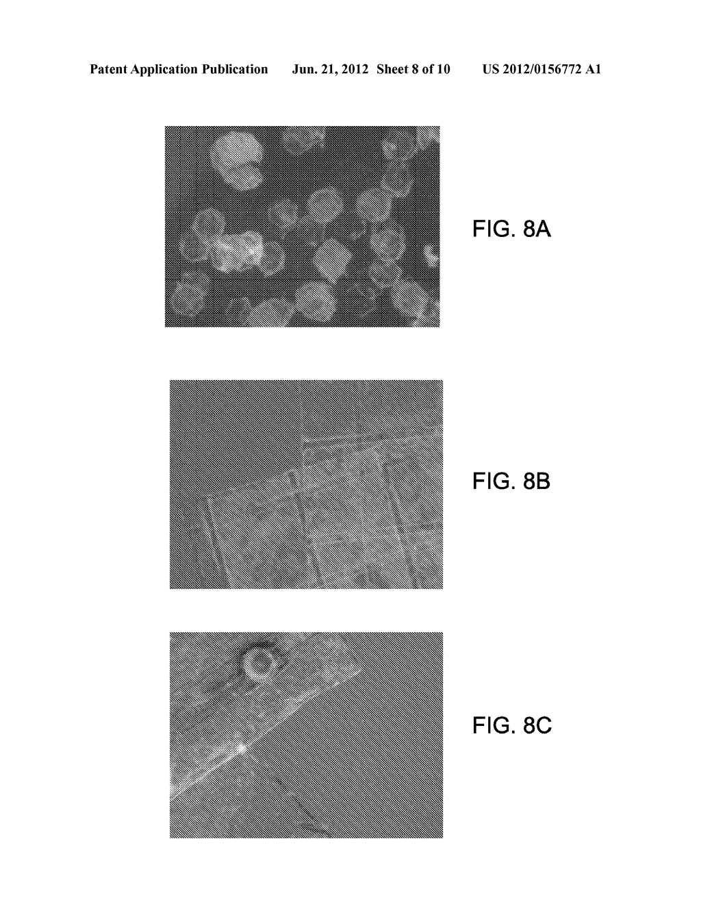 CELL CARRIER AND METHODS OF MAKING - diagram, schematic, and image 09