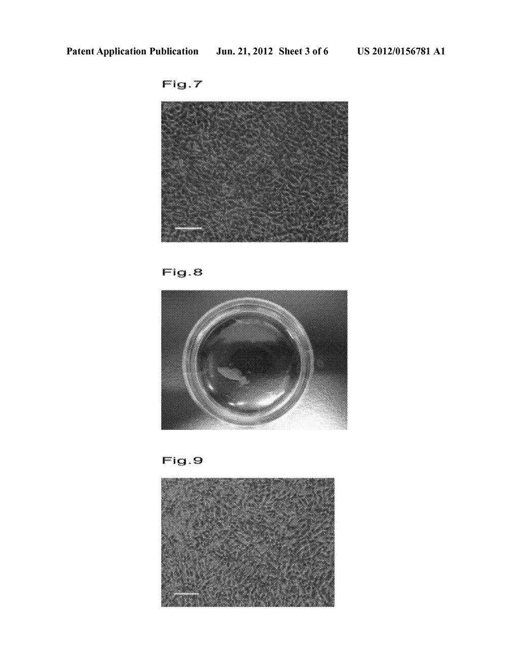 TEMPERATURE-RESPONSIVE CELL CULTURE SUBSTRATE ON WHICH A STRAIGHT-CHAIN     TEMPERATURE-RESPONSIVE POLYMER IS IMMOBILIZED, AND MANUFACTURING METHOD     THEREFOR - diagram, schematic, and image 04