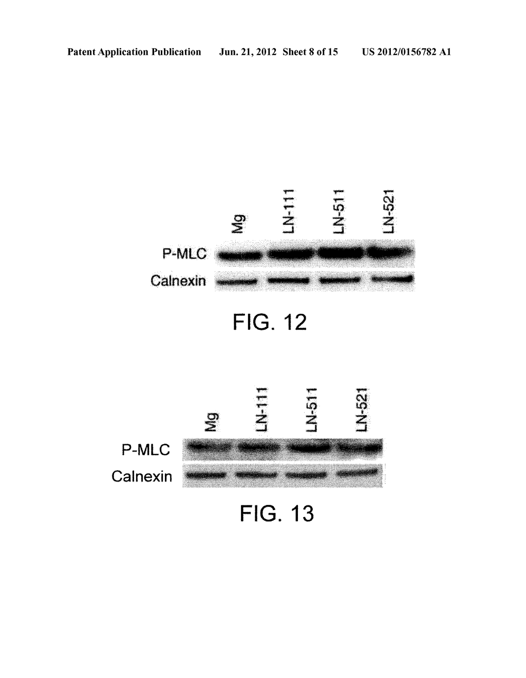 CELL CULTURE MEDIUM - diagram, schematic, and image 09