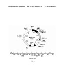 METHODS AND PRODUCTS FOR BIASING CELLULAR DEVELOPMENT diagram and image