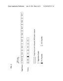 METHOD AND APPARATUS FOR TRANSMITTING A SIGNAL FOR A LOCATION     BASED-SERVICE IN A WIRELESS COMMUNICATION SYSTEM, AND METHOD AND     APPARATUS FOR LOCATING A TERMINAL THAT USES THE SIGNAL diagram and image