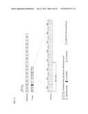 METHOD AND APPARATUS FOR TRANSMITTING A SIGNAL FOR A LOCATION     BASED-SERVICE IN A WIRELESS COMMUNICATION SYSTEM, AND METHOD AND     APPARATUS FOR LOCATING A TERMINAL THAT USES THE SIGNAL diagram and image