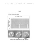 METHODS AND COMPOSITIONS FOR PROVIDING TOLERANCE TO MULTIPLE HERBICIDES diagram and image