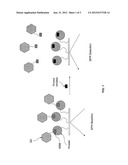 Label Free Kinase Assays and Reagents diagram and image