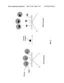 Label Free Kinase Assays and Reagents diagram and image