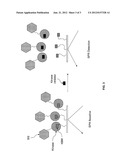 Label Free Kinase Assays and Reagents diagram and image