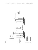 miRNA FINGERPRINT IN THE DIAGNOSIS OF MULTIPLE SCLEROSIS diagram and image