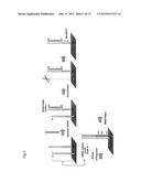 miRNA FINGERPRINT IN THE DIAGNOSIS OF MULTIPLE SCLEROSIS diagram and image