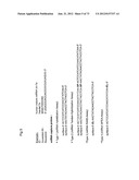 miRNA FINGERPRINT IN THE DIAGNOSIS OF MULTIPLE SCLEROSIS diagram and image