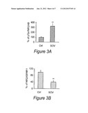 Methods and Compositions for Obtaining and Using Biologically Active     Multi-Protein Complexes diagram and image