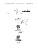 Detection of nucleic acids from whole diagram and image