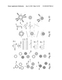 Detection of nucleic acids from whole diagram and image