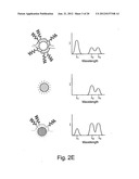 Detection of nucleic acids from whole diagram and image