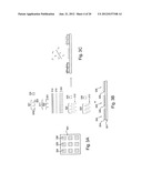 Detection of nucleic acids from whole diagram and image