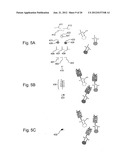 Detection of nucleic acids from whole diagram and image