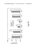 Detection of nucleic acids from whole diagram and image