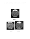 NODULE SPECIFIC MEDICAGO PEPTIDES HAVING ANTIMICROBIAL ACTIVITY AND     PHARMACEUTICAL COMPOSITIONS CONTAINGING THE SAME diagram and image