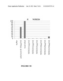 NODULE SPECIFIC MEDICAGO PEPTIDES HAVING ANTIMICROBIAL ACTIVITY AND     PHARMACEUTICAL COMPOSITIONS CONTAINGING THE SAME diagram and image