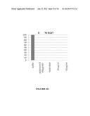 NODULE SPECIFIC MEDICAGO PEPTIDES HAVING ANTIMICROBIAL ACTIVITY AND     PHARMACEUTICAL COMPOSITIONS CONTAINGING THE SAME diagram and image