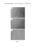 NODULE SPECIFIC MEDICAGO PEPTIDES HAVING ANTIMICROBIAL ACTIVITY AND     PHARMACEUTICAL COMPOSITIONS CONTAINGING THE SAME diagram and image