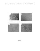 NODULE SPECIFIC MEDICAGO PEPTIDES HAVING ANTIMICROBIAL ACTIVITY AND     PHARMACEUTICAL COMPOSITIONS CONTAINGING THE SAME diagram and image