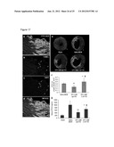 COMPOSITIONS AND METHODS FOR CARDIAC TISSUE REPAIR diagram and image