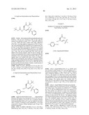 SELECTIVE CASPASE INHIBITORS AND USES THEREOF diagram and image