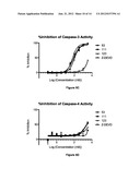 SELECTIVE CASPASE INHIBITORS AND USES THEREOF diagram and image