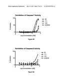 SELECTIVE CASPASE INHIBITORS AND USES THEREOF diagram and image