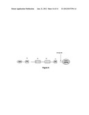 SELECTIVE CASPASE INHIBITORS AND USES THEREOF diagram and image