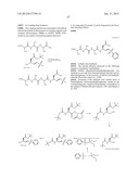 SELECTIVE CASPASE INHIBITORS AND USES THEREOF diagram and image