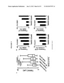 TRIMETHYLAMINE-CONTAINING COMPOUNDS FOR DIAGNOSIS AND PREDICTION OF     DISEASE diagram and image