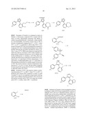 NOVEL FUSED PYRIDINE COMPOUNDS AS CASEIN KINASE INHIBITORS diagram and image