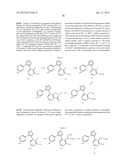 NOVEL FUSED PYRIDINE COMPOUNDS AS CASEIN KINASE INHIBITORS diagram and image