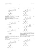 HETEROARYL BTK INHIBITORS diagram and image