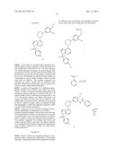 BRUTON S TYROSINE KINASE INHIBITORS diagram and image