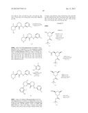 BRUTON S TYROSINE KINASE INHIBITORS diagram and image