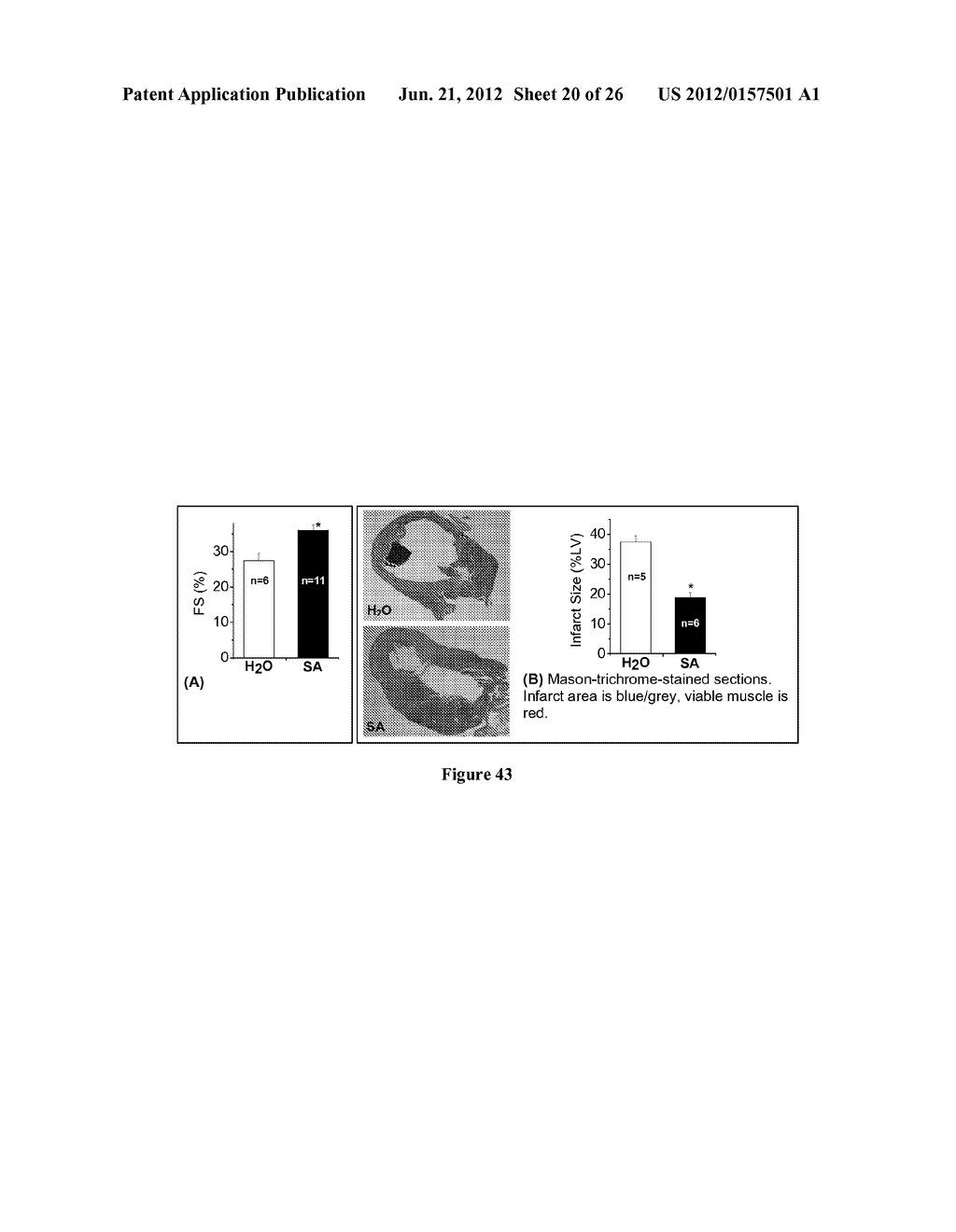 ISOKETAL SCAVENGERS AND MITIGATION OF DISORDERS INVOLVING OXIDATIVE INJURY - diagram, schematic, and image 21