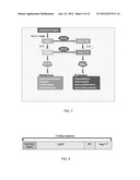 Small Peptide Expression System in Mammalian Cells diagram and image