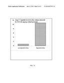 Small Peptide Expression System in Mammalian Cells diagram and image