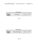 Small Peptide Expression System in Mammalian Cells diagram and image