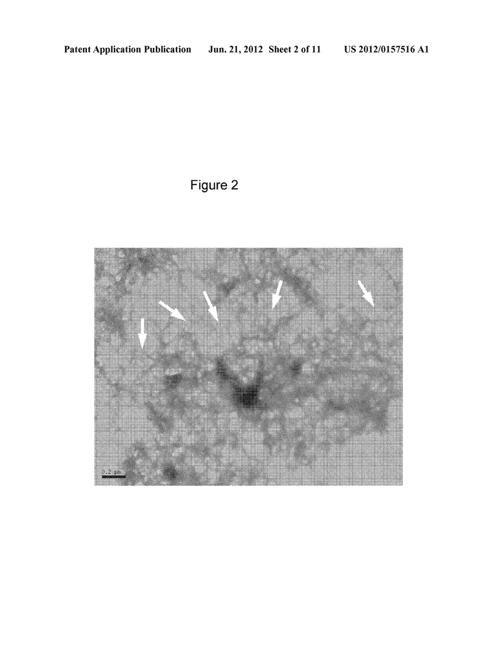 NOVEL THIOPHENE COMPOUNDS FOR USE IN THERAPY - diagram, schematic, and image 03