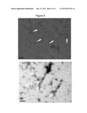 NOVEL THIOPHENE COMPOUNDS FOR USE IN THERAPY diagram and image