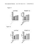 NOVEL THIOPHENE COMPOUNDS FOR USE IN THERAPY diagram and image