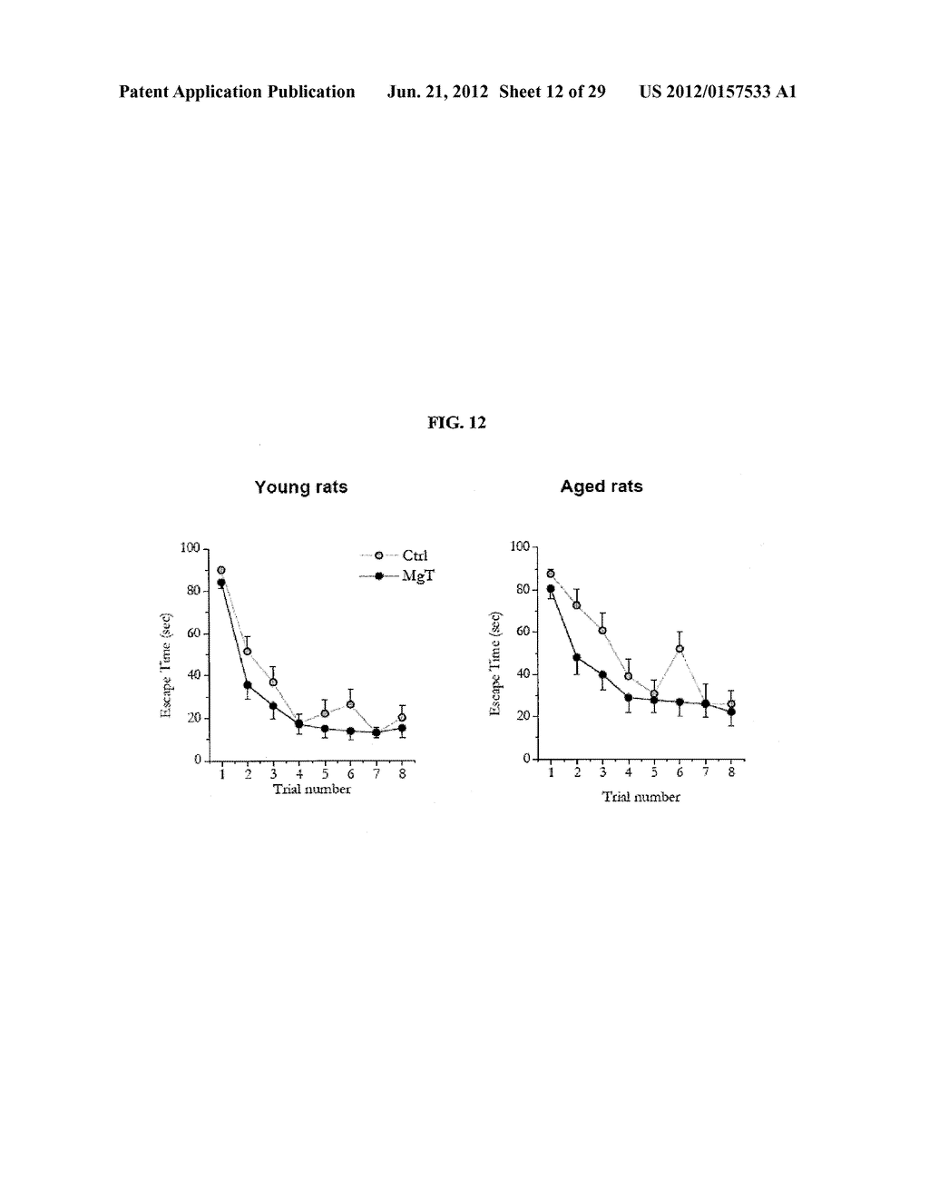 Magnesium Compositions and Uses Thereof for Metabolic Disorders - diagram, schematic, and image 13